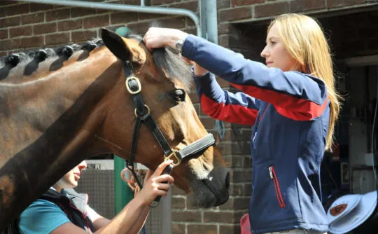 stotfold_horseplatt